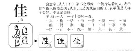 佳字五行属什么 龍棒